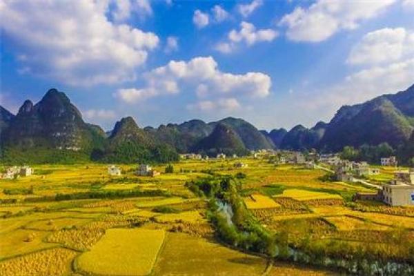 梦见看风水修路