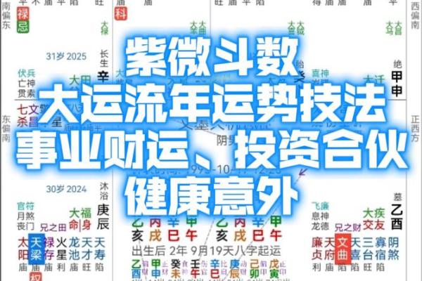 紫薇斗数交运是什么意思