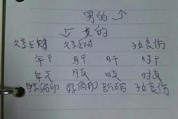学习八字