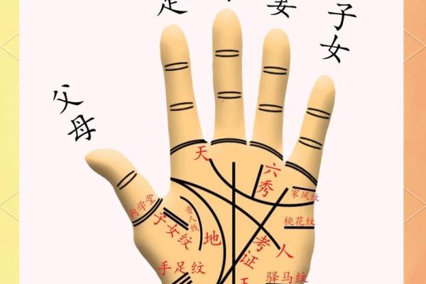 小指算命，小指的长度看你的性格和命运