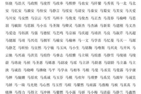 五月份出生的属马男孩该取什么名字姓名