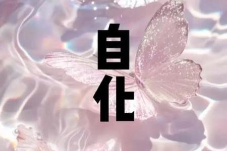 容易资金方面有所收获的创业风水！