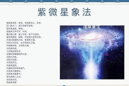 紫薇斗数各星意象