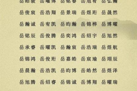 2019年4月29号卯时出生的男孩如何起名姓名