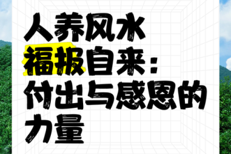 最大的风水是人心，不是风水养人，而是人养风水！