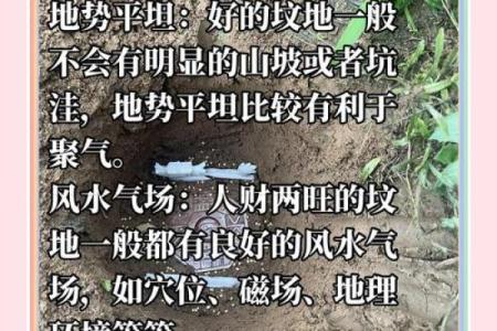 城市风水_别人的祖坟要葬在我家地里