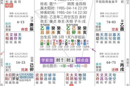 元亨利贞网八字排盘