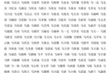 五月份出生的属马男孩该取什么名字姓名
