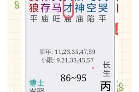 紫薇斗数之天才