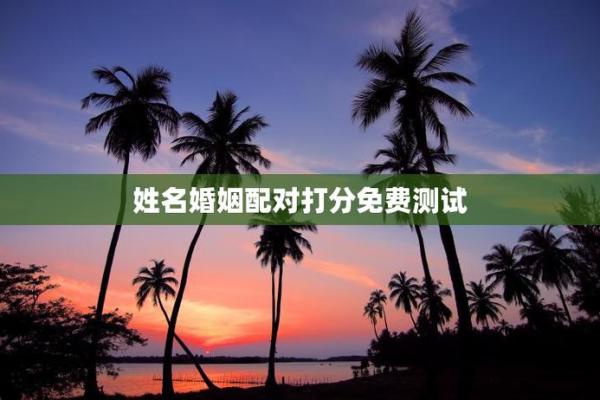 测试姓名婚姻配对打分 姓名配对姻缘测试打分？