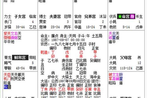 紫薇斗数全解PDF的简单介绍