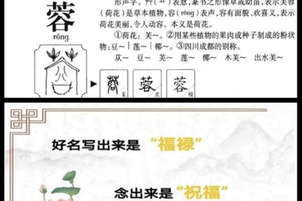 体育公司起名大全-名字大全-姓名学-华易算命网姓名