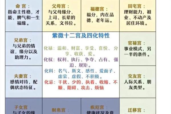 紫薇斗数子女宫在子