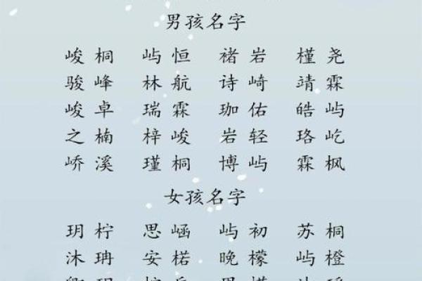 晚上9点出生的属虎男孩如何起名，宜用什么字姓名