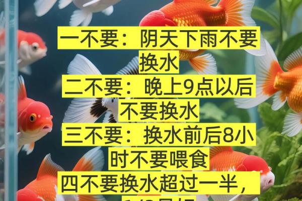 养鱼风水的忌讳有哪些呢