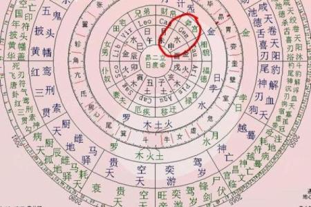 出轨的紫薇斗数