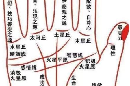 看相算命大全图解婚姻
