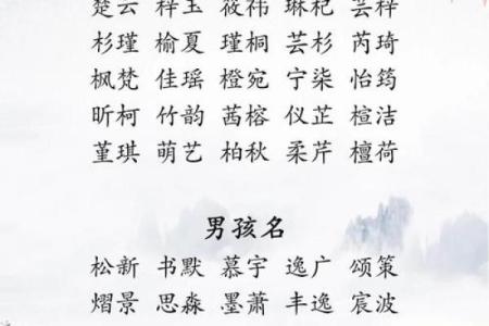女孩缺木取名大全文雅,八字看下半年运势