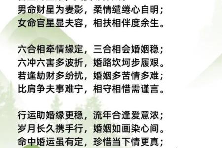 八字财星对应婚姻宫