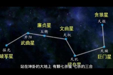紫薇斗数紫薇七杀在亥