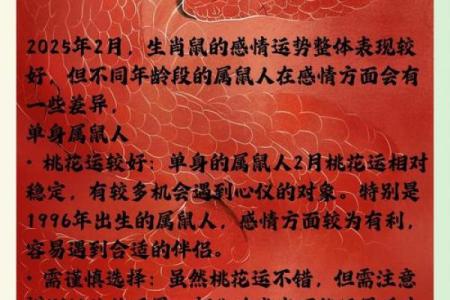 属鼠八字