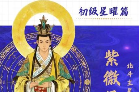 紫微斗数财政 紫微斗数里面的财星？