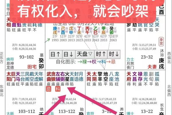 自学紫薇斗数难吗