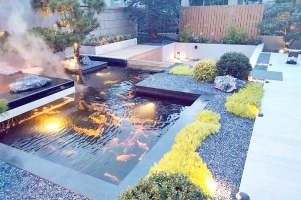 家庭鱼池风水 家庭鱼池风水摆放