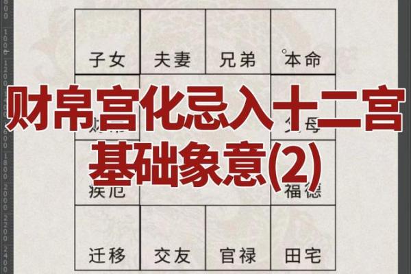 紫薇斗数财帛宫天同平