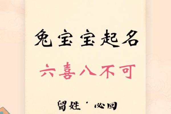 2025兔宝宝起名生辰八字