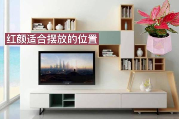 客厅摆放风水_客厅电视机摆放如何讲究风水
