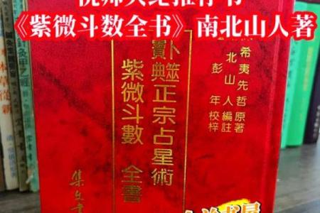 倪海厦天纪紫薇斗数排盘