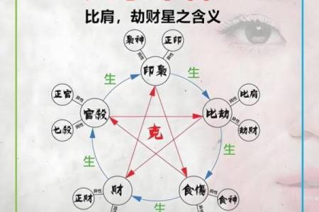 八字中的十神