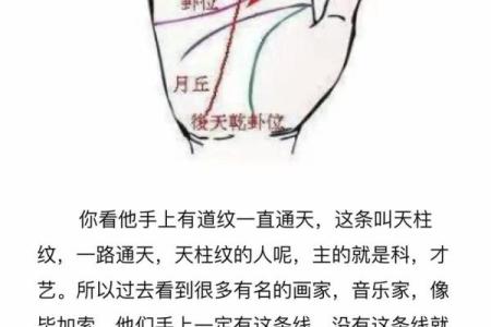 女人右手掌纹图解算命婚姻线 咋看女人右手的婚姻线