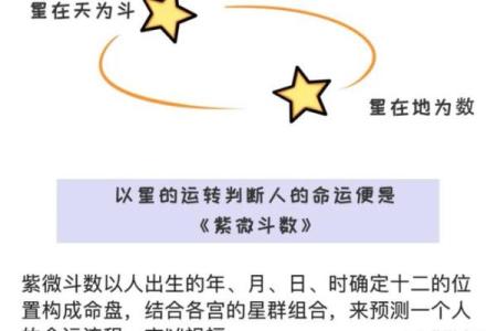 2000年紫薇斗数