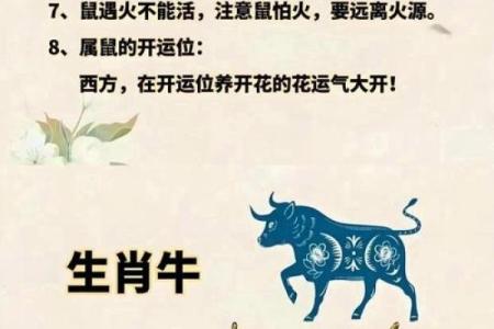 属虎和属鼠的八字合吗