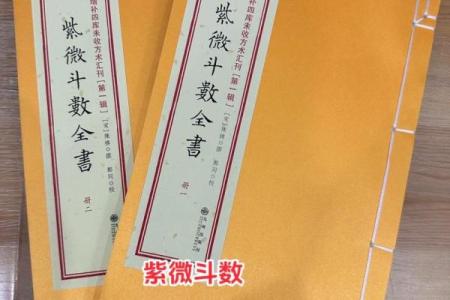 1986年紫薇斗数