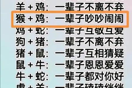 姓名配对恋爱契合度,姓名匹配测试免费