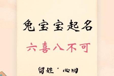 2025兔宝宝起名生辰八字