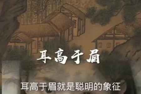 耳朵高于眉毛的人 面相算命