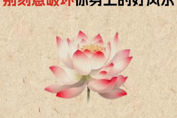 开运的风水方法有哪些？请查收