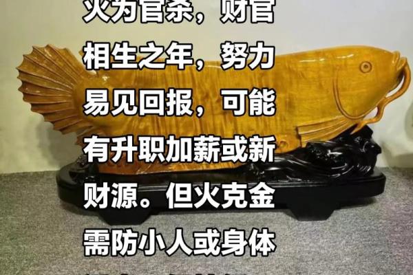风水开运 木命男人如何旺财