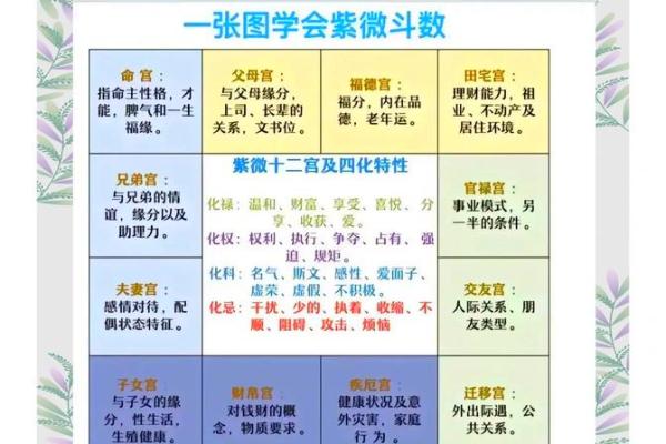 紫薇斗数大运夫妻宫入财帛宫是配偶有钱么