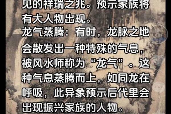 风水宝地下葬异象