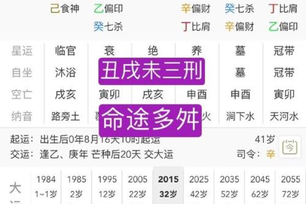 丁酉年八字