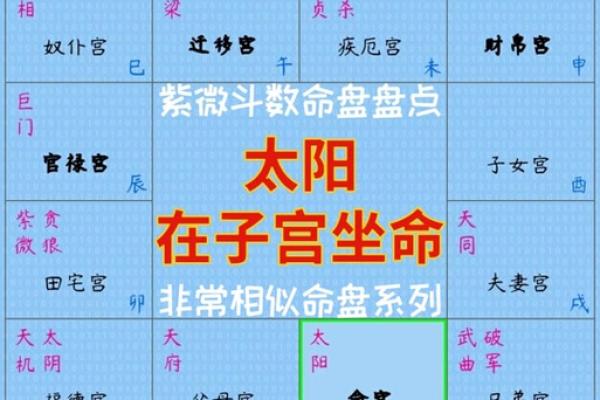 如何看紫薇星在什么宫
