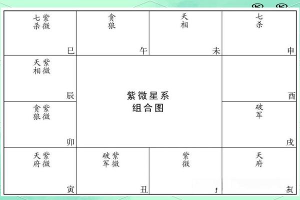 如何看紫薇星在什么宫