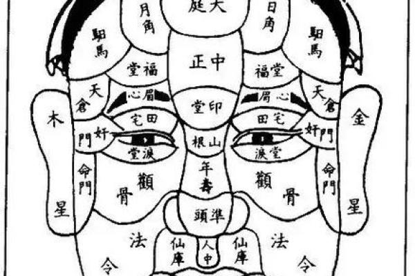 五官看面相算命图解男 男人五官面相大全