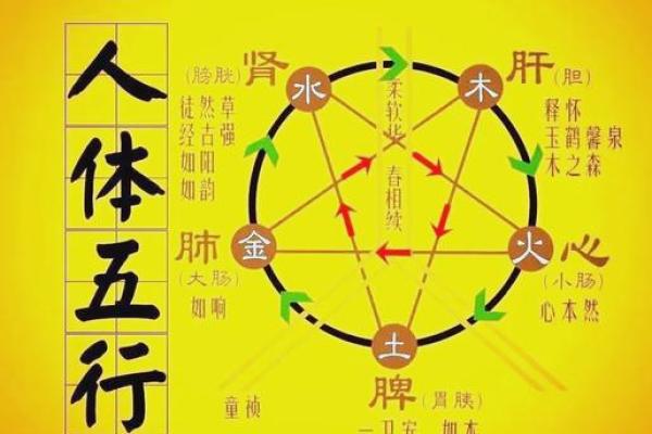八字金日干