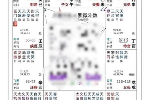 紫薇斗数父疾线看什么